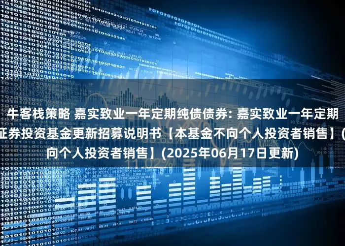 牛客栈策略 嘉实致业一年定期纯债债券: 嘉实致业一年定期开放纯债债券型发起式证券投资基金更新招募说明书【本基金不向个人投资者销售】(2025年06月17日更新)