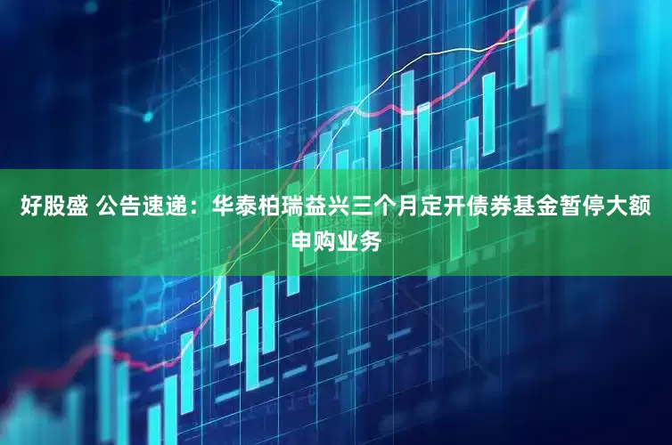 好股盛 公告速递：华泰柏瑞益兴三个月定开债券基金暂停大额申购业务