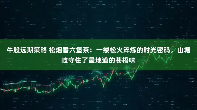 牛股远期策略 松烟香六堡茶:一缕松火淬炼的时光密码,山塘岐守住了最地道的苍梧味