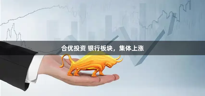 合优投资 银行板块，集体上涨